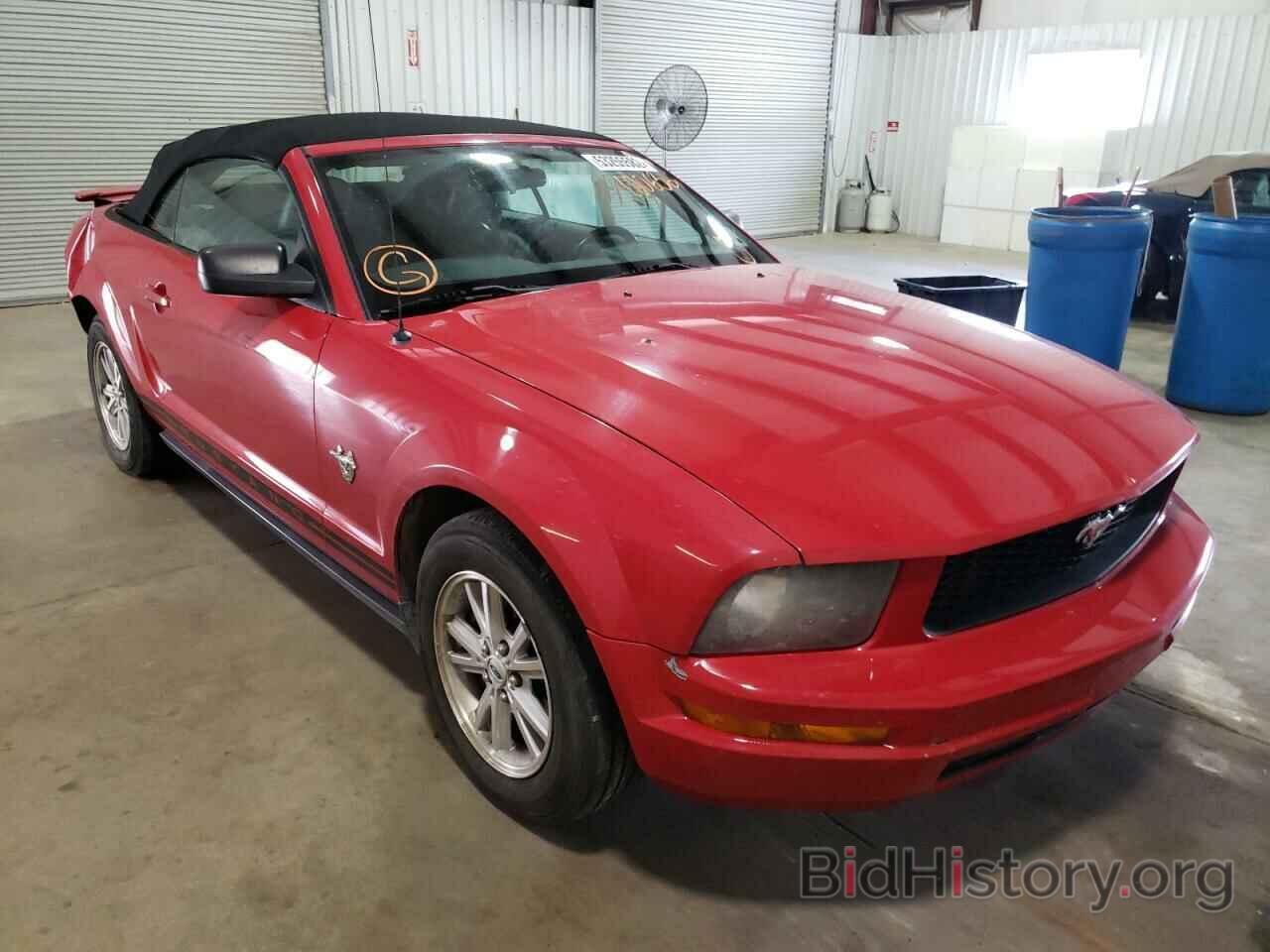Photo 1ZVHT84N195100636 - FORD MUSTANG 2009