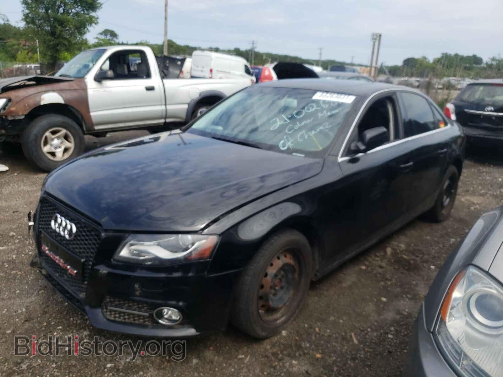 2010 AUDI A4 - VIN: WAUHFAFL7AN009515 - Фото 2