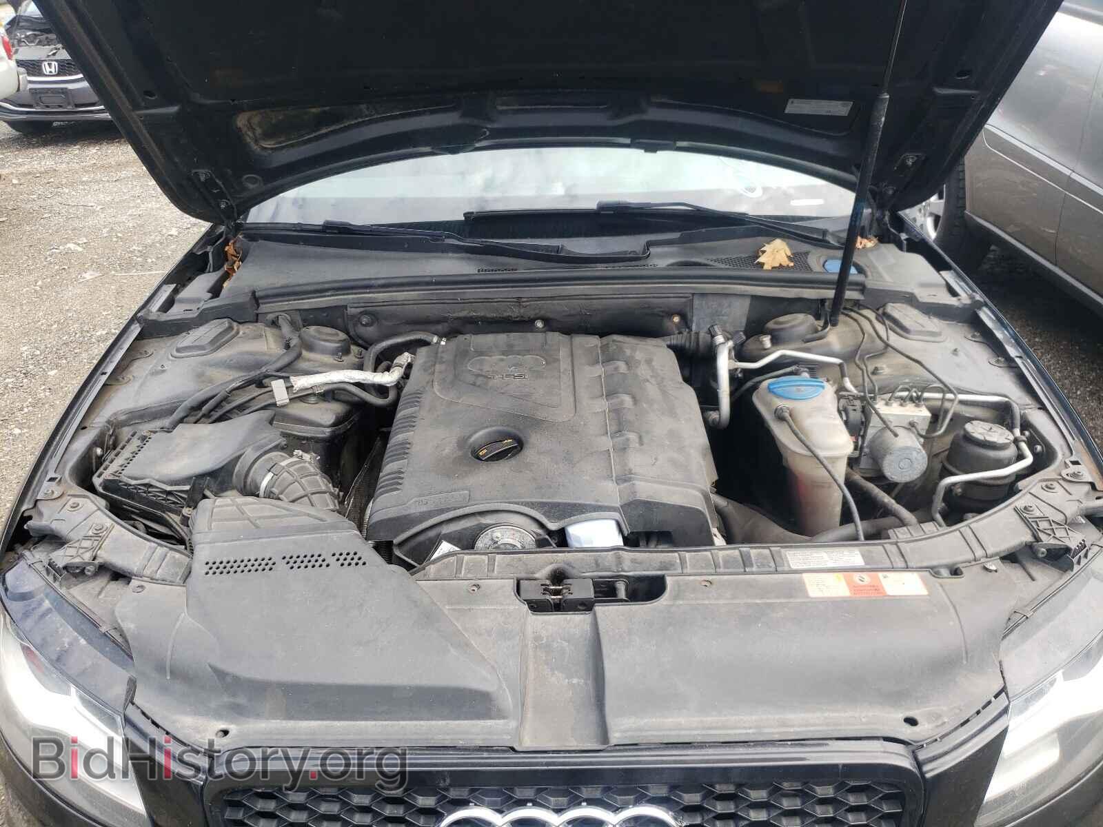 2010 AUDI A4 - VIN: WAUHFAFL7AN009515 - Фото 7