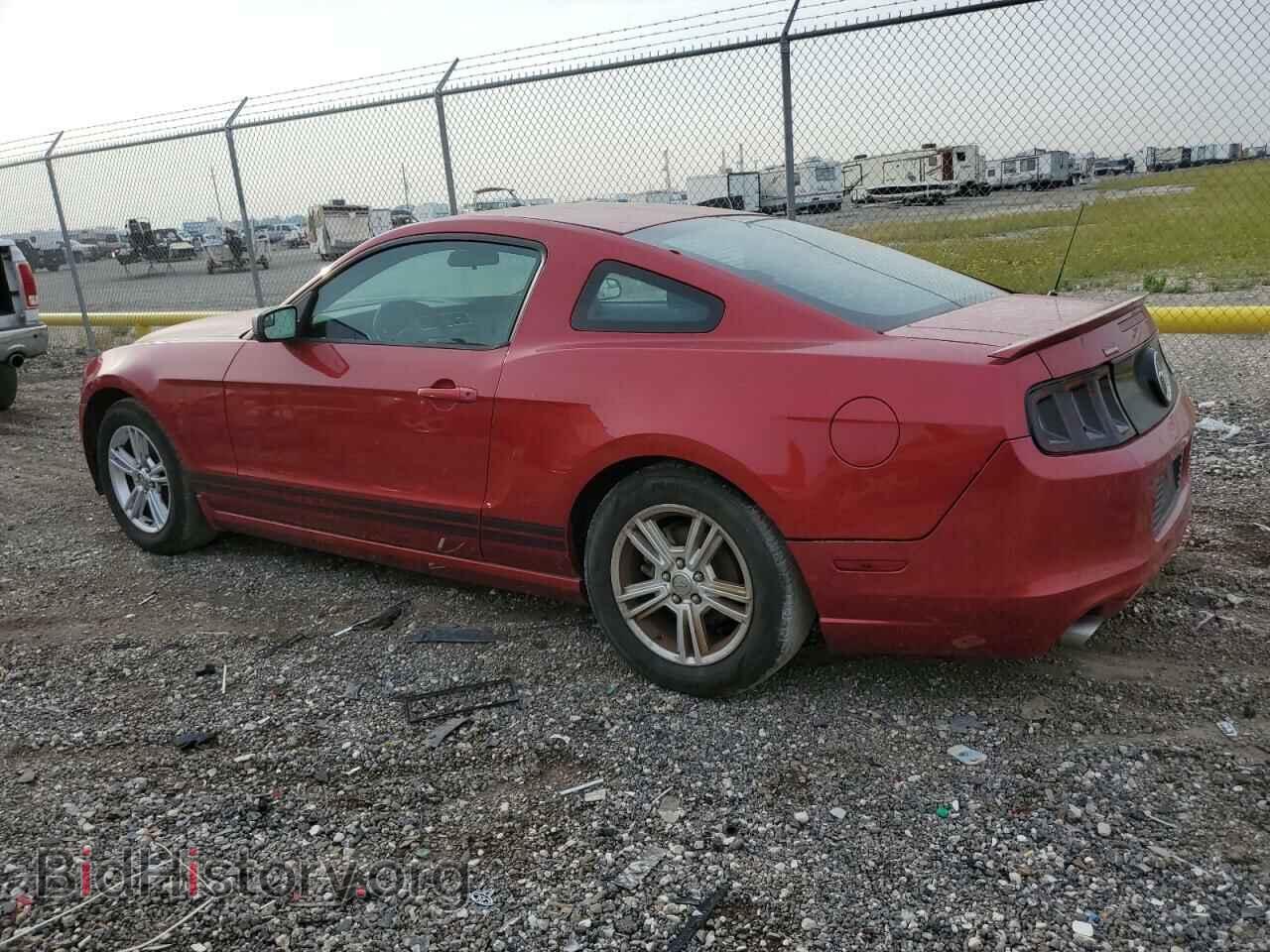 2013 FORD ALL Models - VIN: 1ZVBP8AM5D5259321 - Фото 2