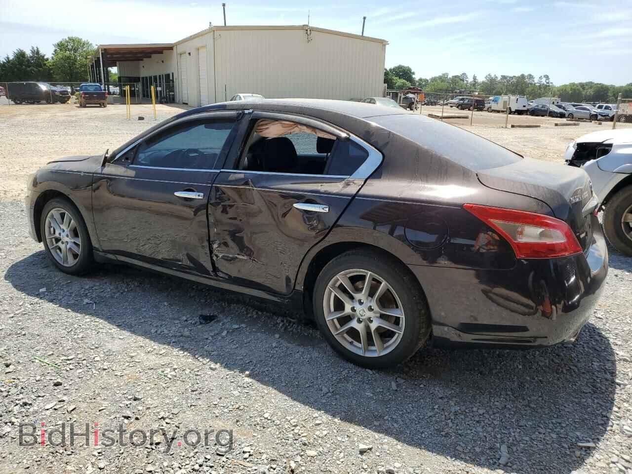 2011 NISSAN MAXIMA - VIN: 1N4AA5APXBC842930 - Фото 2