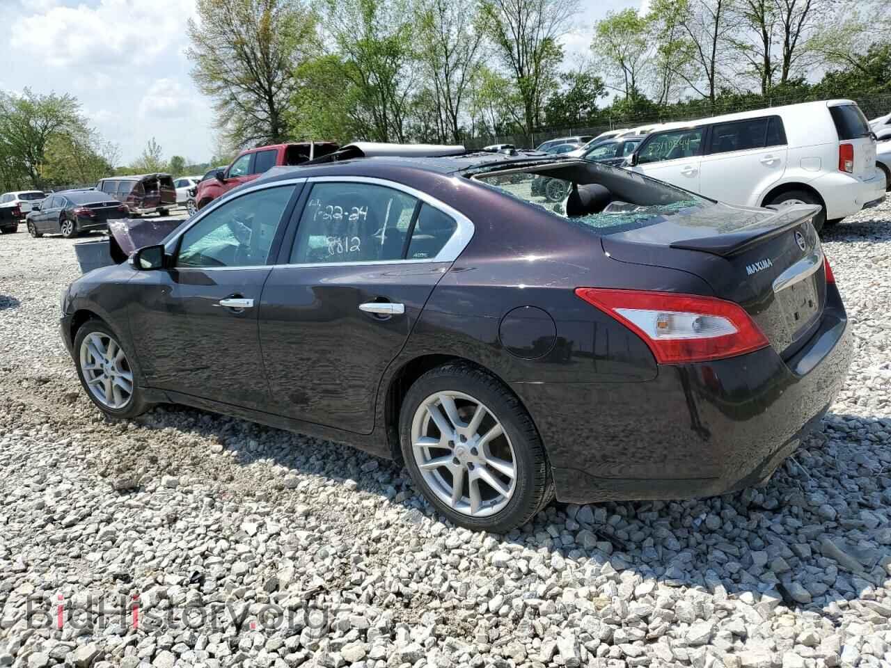 2011 NISSAN MAXIMA - VIN: 1N4AA5AP5BC818812 - Фото 2