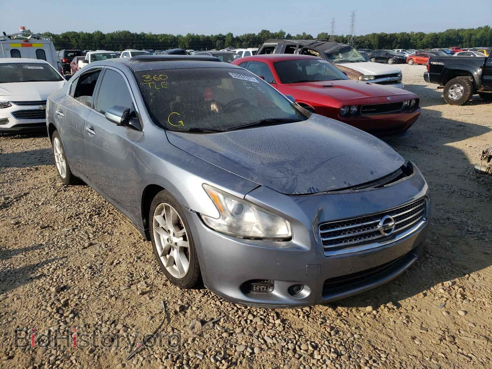 Фотография 1N4AA5AP1BC835638 - NISSAN MAXIMA 2011