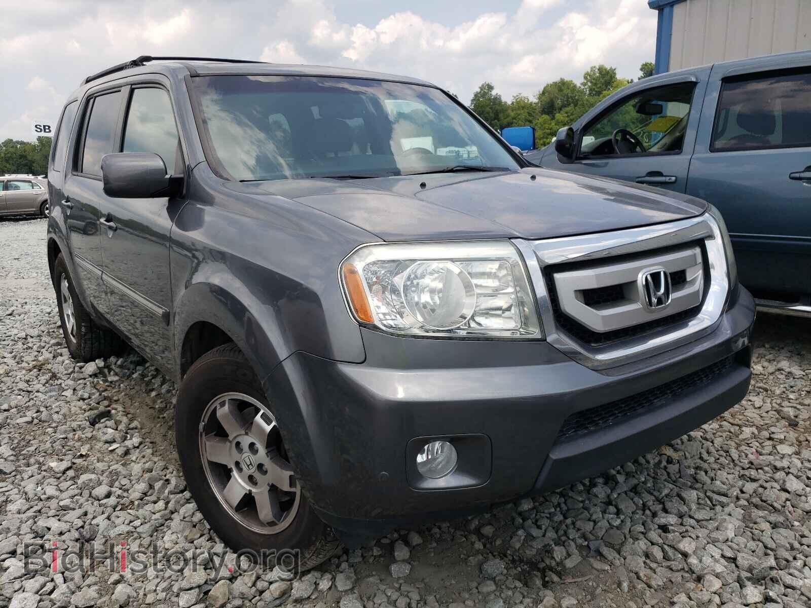 Фотография 5FNYF4H91BB029667 - HONDA PILOT 2011