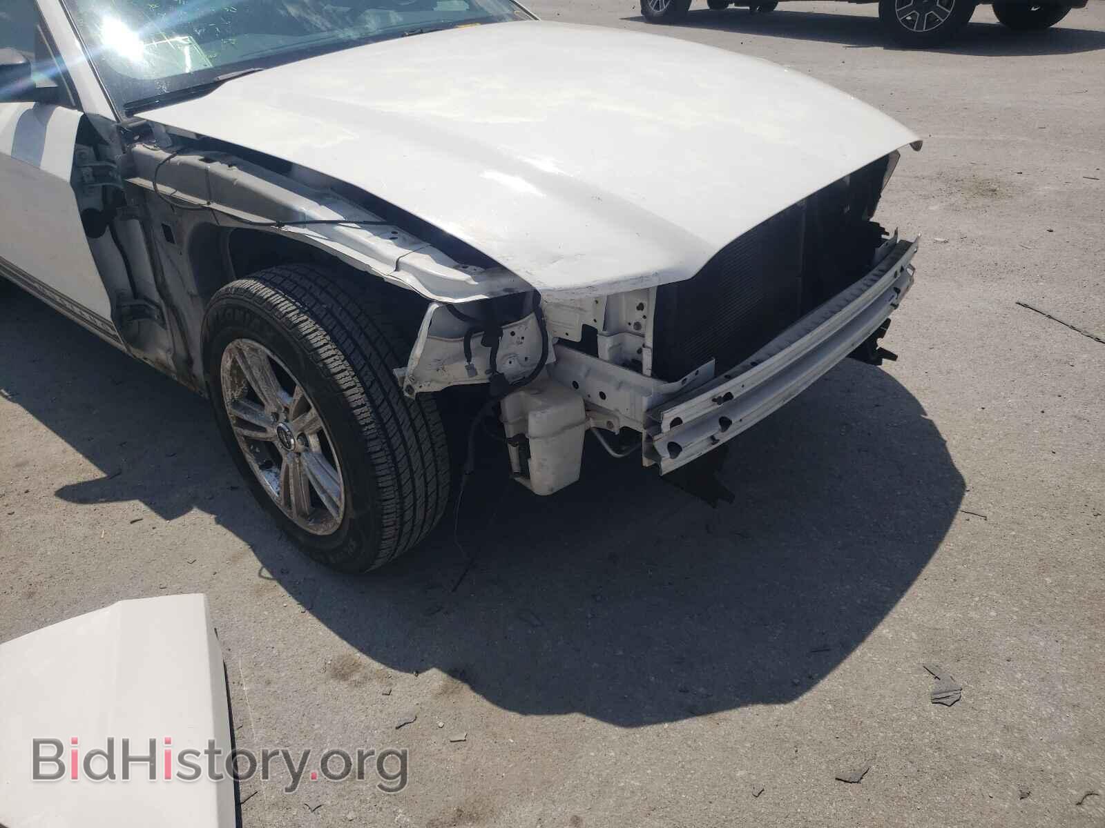 2013 FORD MUSTANG - VIN: 1ZVBP8AM3D5261181 - Фото 9