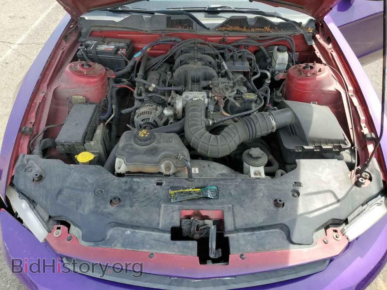 2010 FORD ALL Models - VIN: 1ZVBP8EN6A5142894 - Фото 12