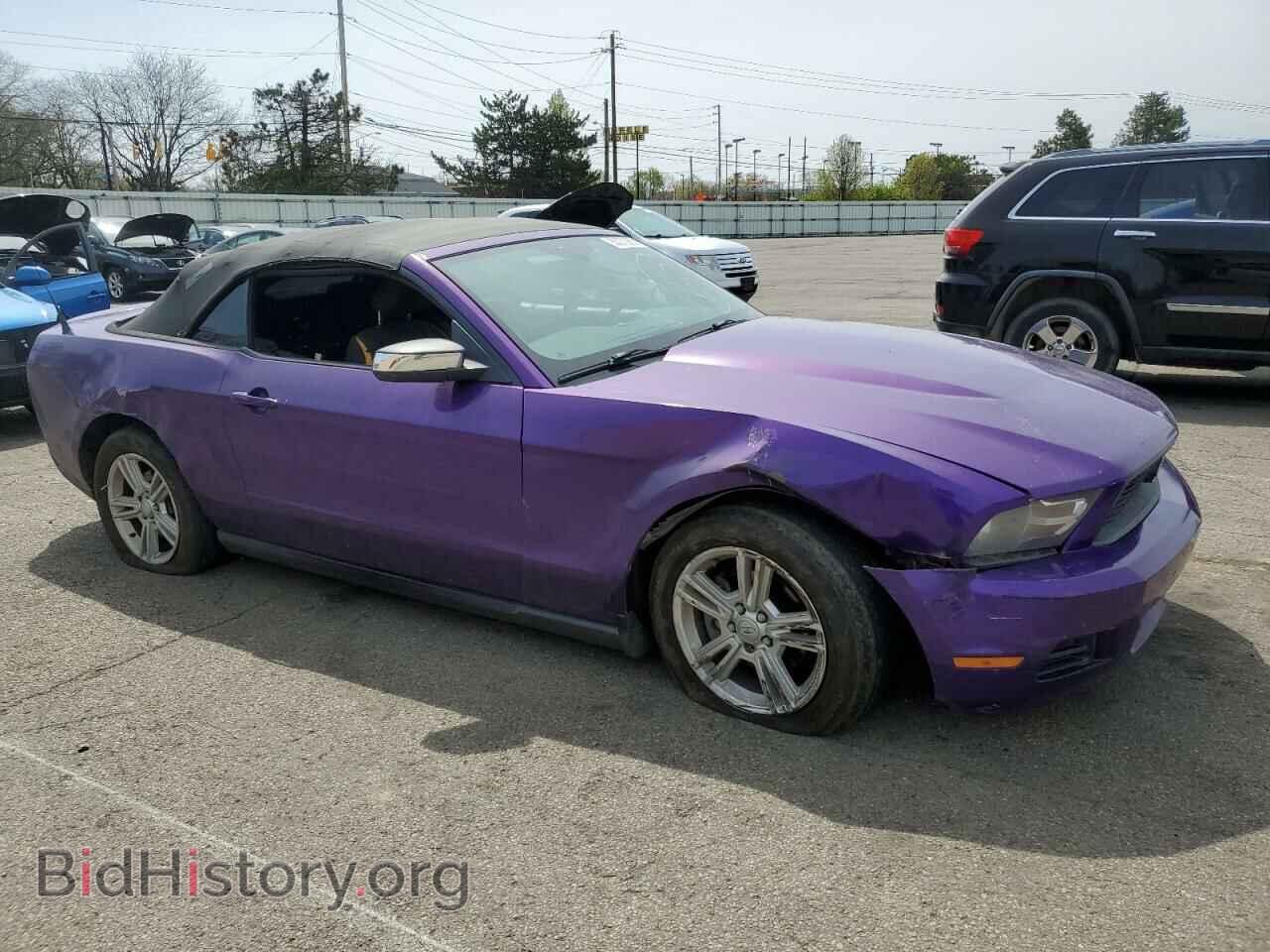 2010 FORD ALL Models - VIN: 1ZVBP8EN6A5142894 - Фото 4