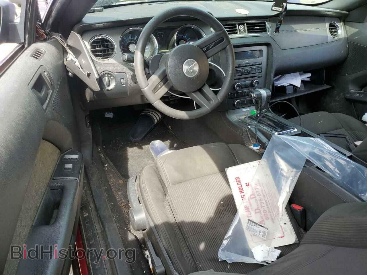 2010 FORD ALL Models - VIN: 1ZVBP8EN6A5142894 - Фото 8
