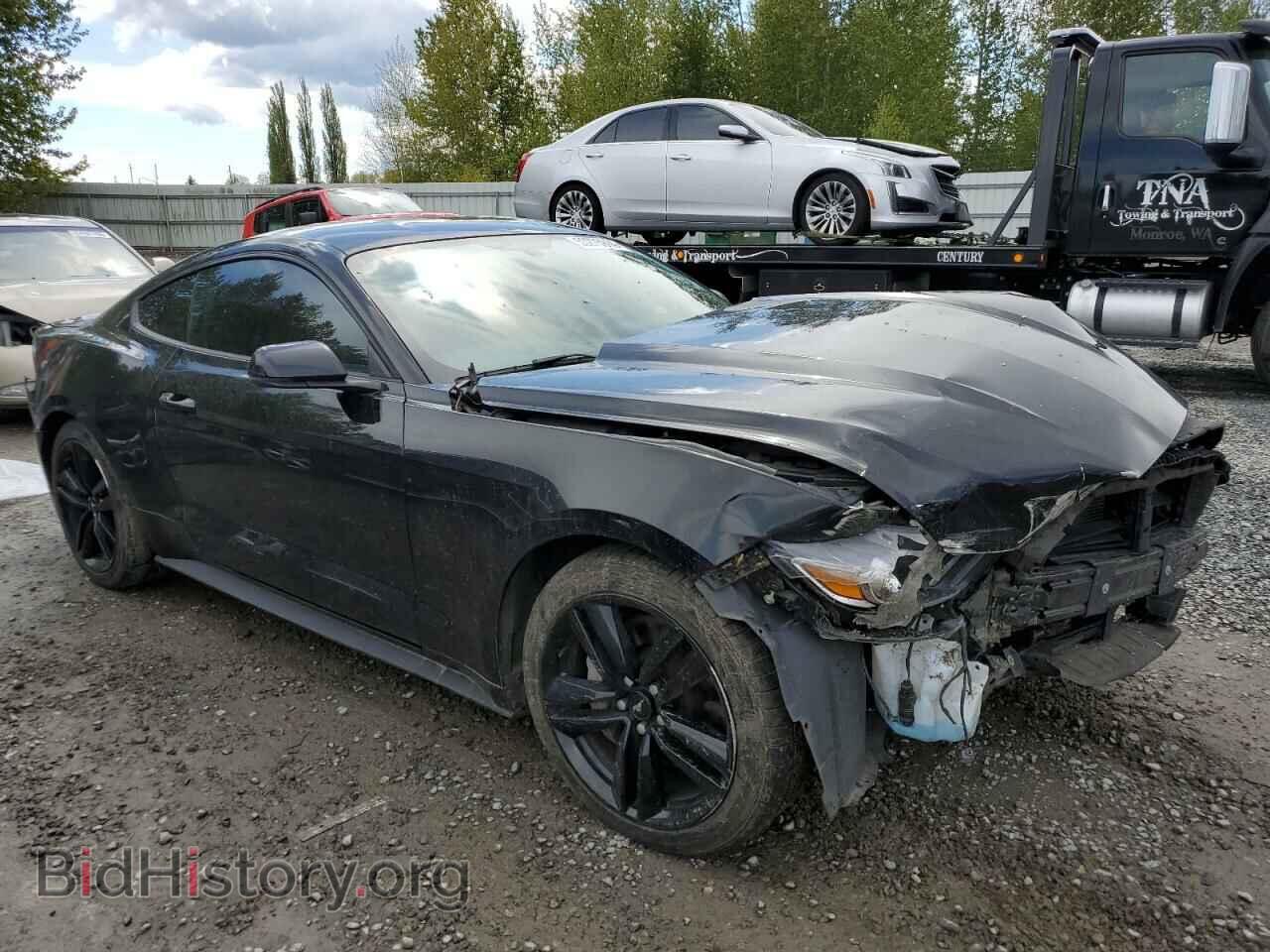 2017 FORD ALL Models - VIN: 1FA6P8TH1H5261003 - Фото 4