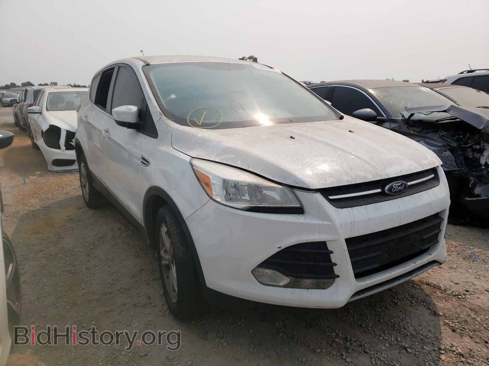 Photo 1FMCU0GXXEUA63591 - FORD ESCAPE 2014