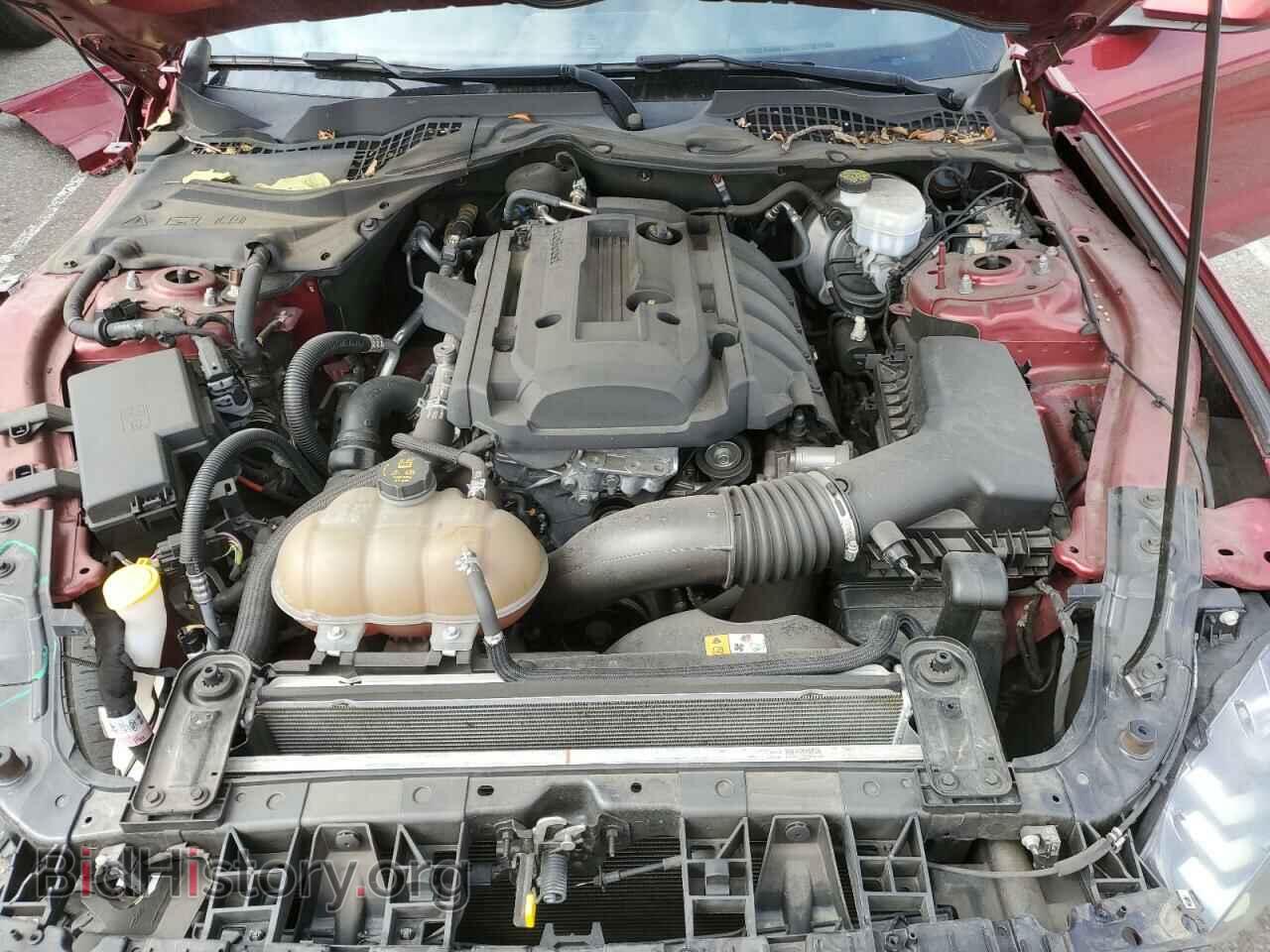 2018 FORD ALL Models - VIN: 1FA6P8TH3J5135859 - Фото 11