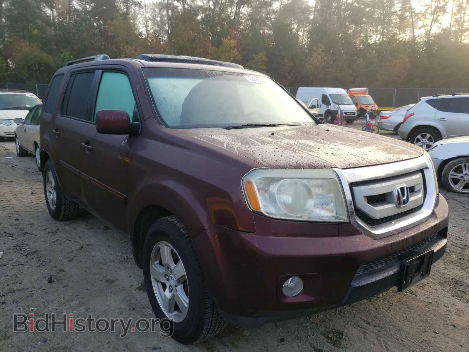 Фотография 5FNYF38649B017264 - HONDA PILOT 2009