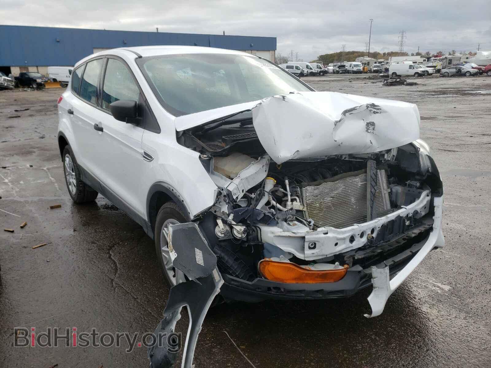 Photo 1FMCU0F77DUB53877 - FORD ESCAPE 2013