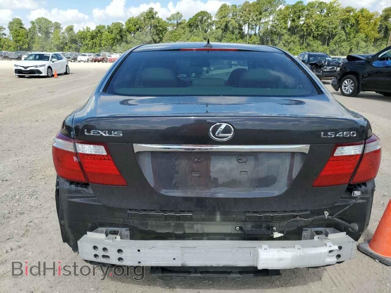2009 LEXUS LS460 - VIN: JTHBL46F395087524 - Photo 9