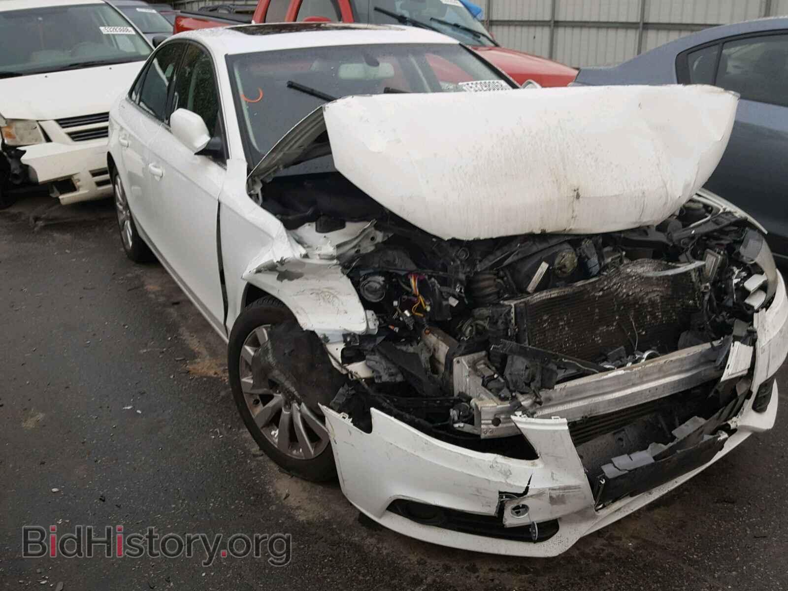 Фотография WAUEFAFL9AN029851 - AUDI A4 2010