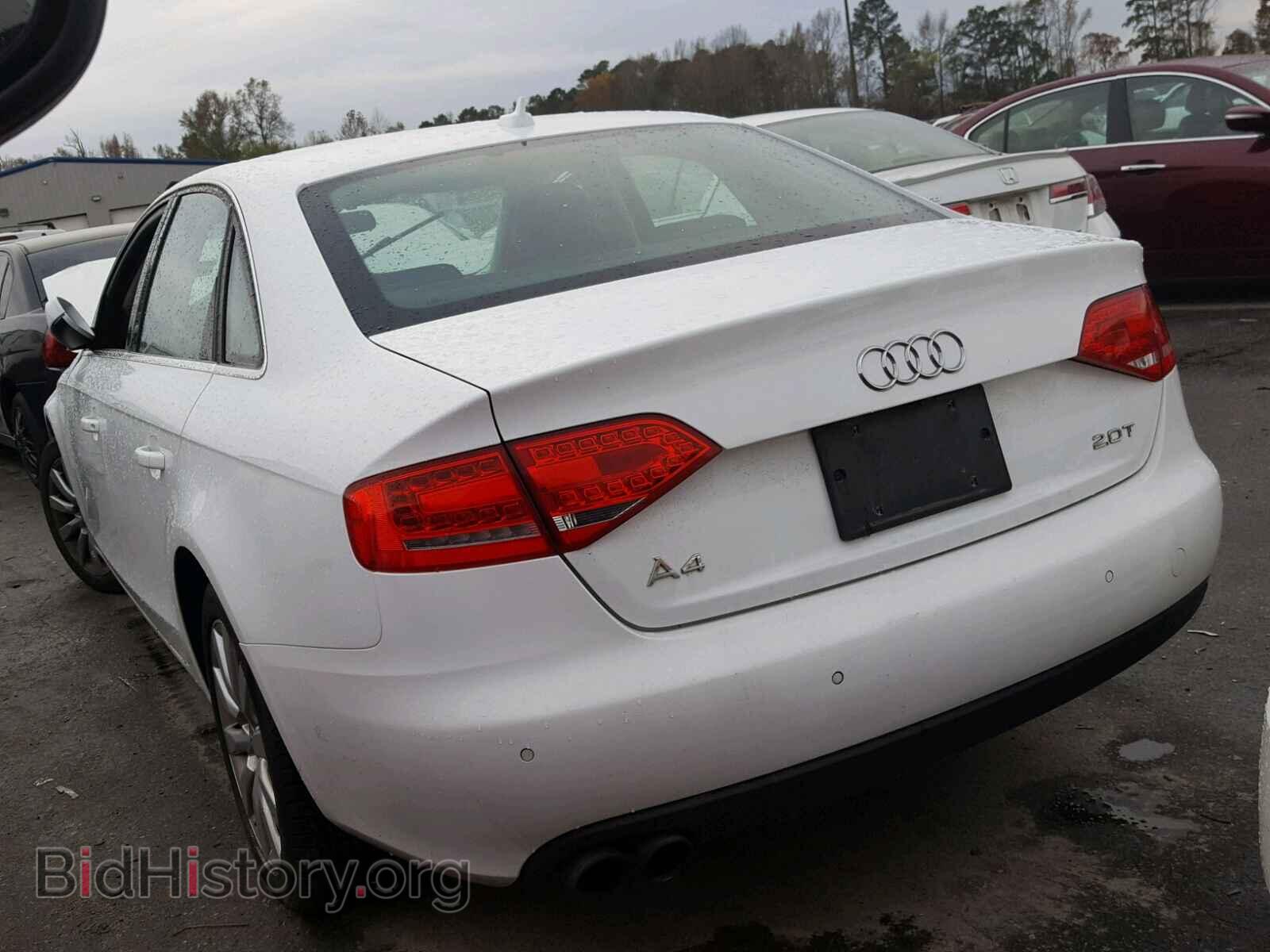 2010 AUDI A4 - VIN: WAUEFAFL9AN029851 - Фото 3