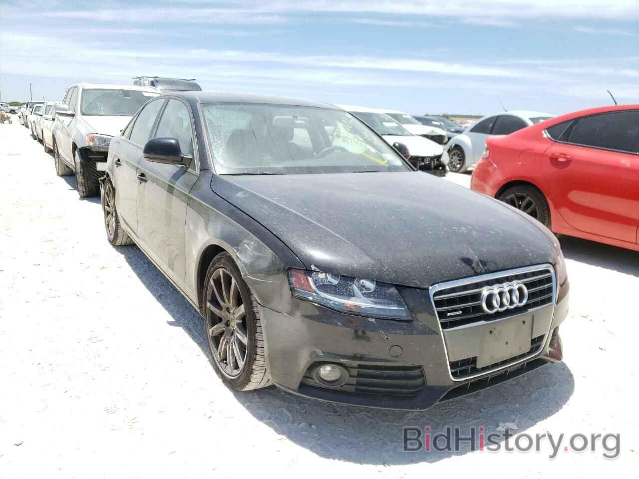 Photo WAULF78K89N066514 - AUDI A4 2009