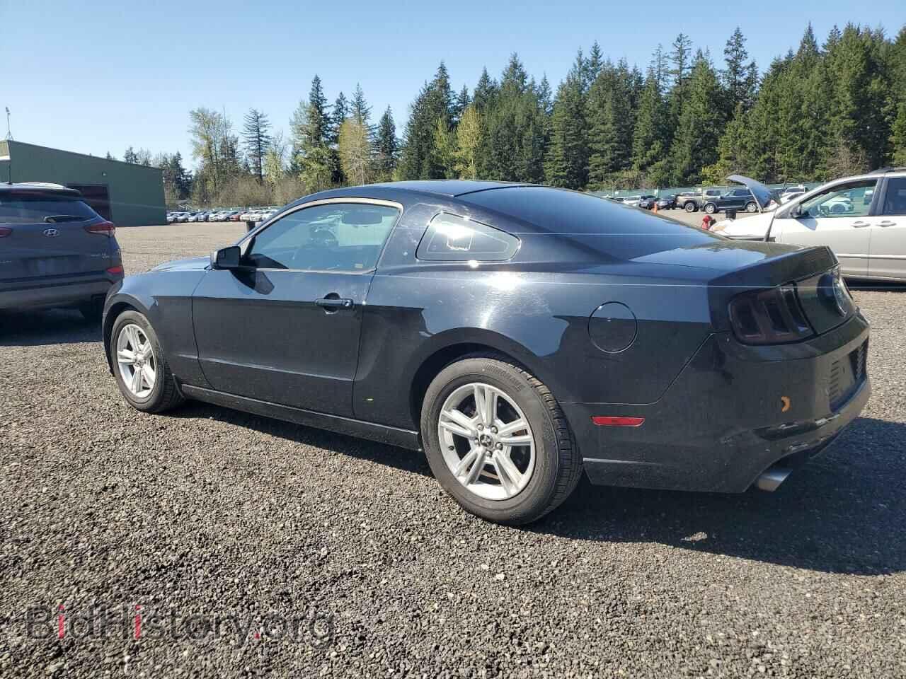 2014 FORD ALL Models - VIN: 1ZVBP8AM6E5217452 - Фото 2