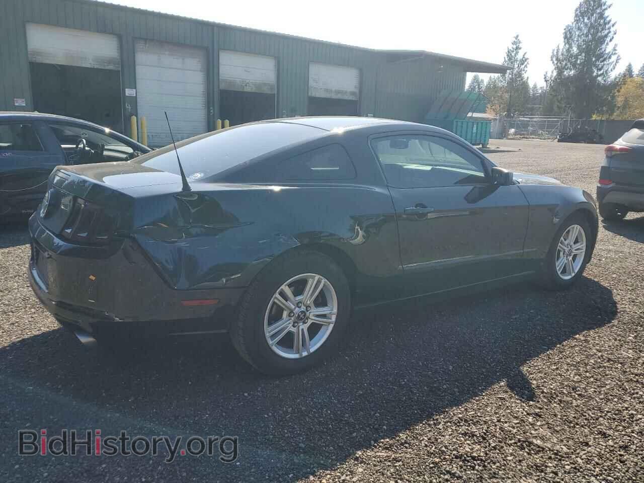 2014 FORD ALL Models - VIN: 1ZVBP8AM6E5217452 - Фото 3
