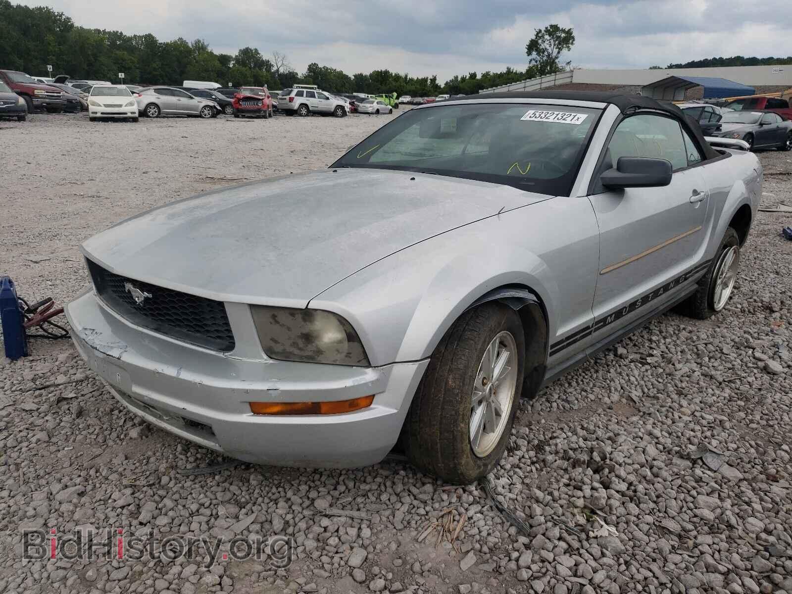2006 FORD MUSTANG - VIN: 1ZVFT84N265252010 - Фото 2