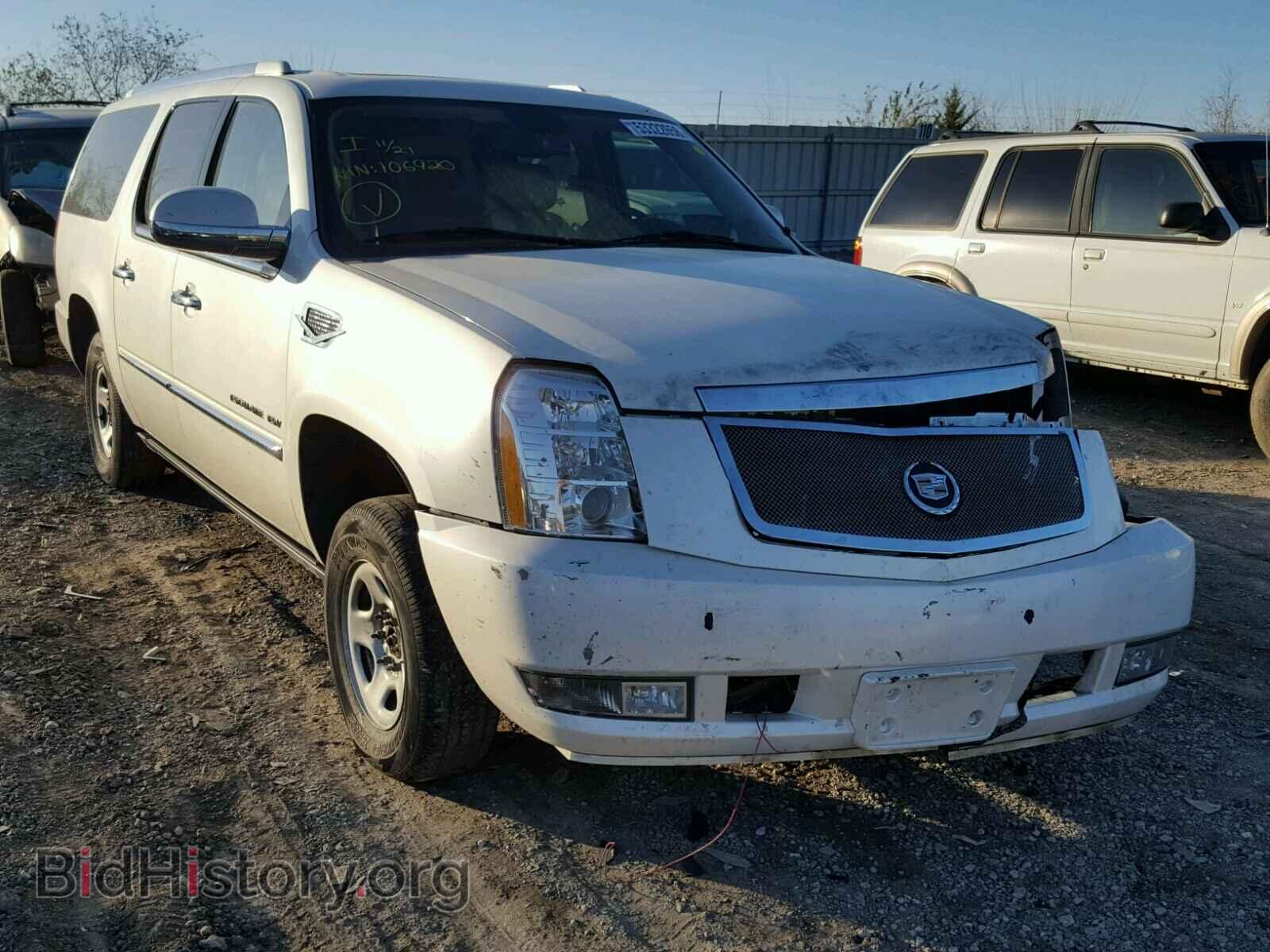 Photo 1GYUKJEF3AR106920 - CADILLAC ESCALADE E 2010