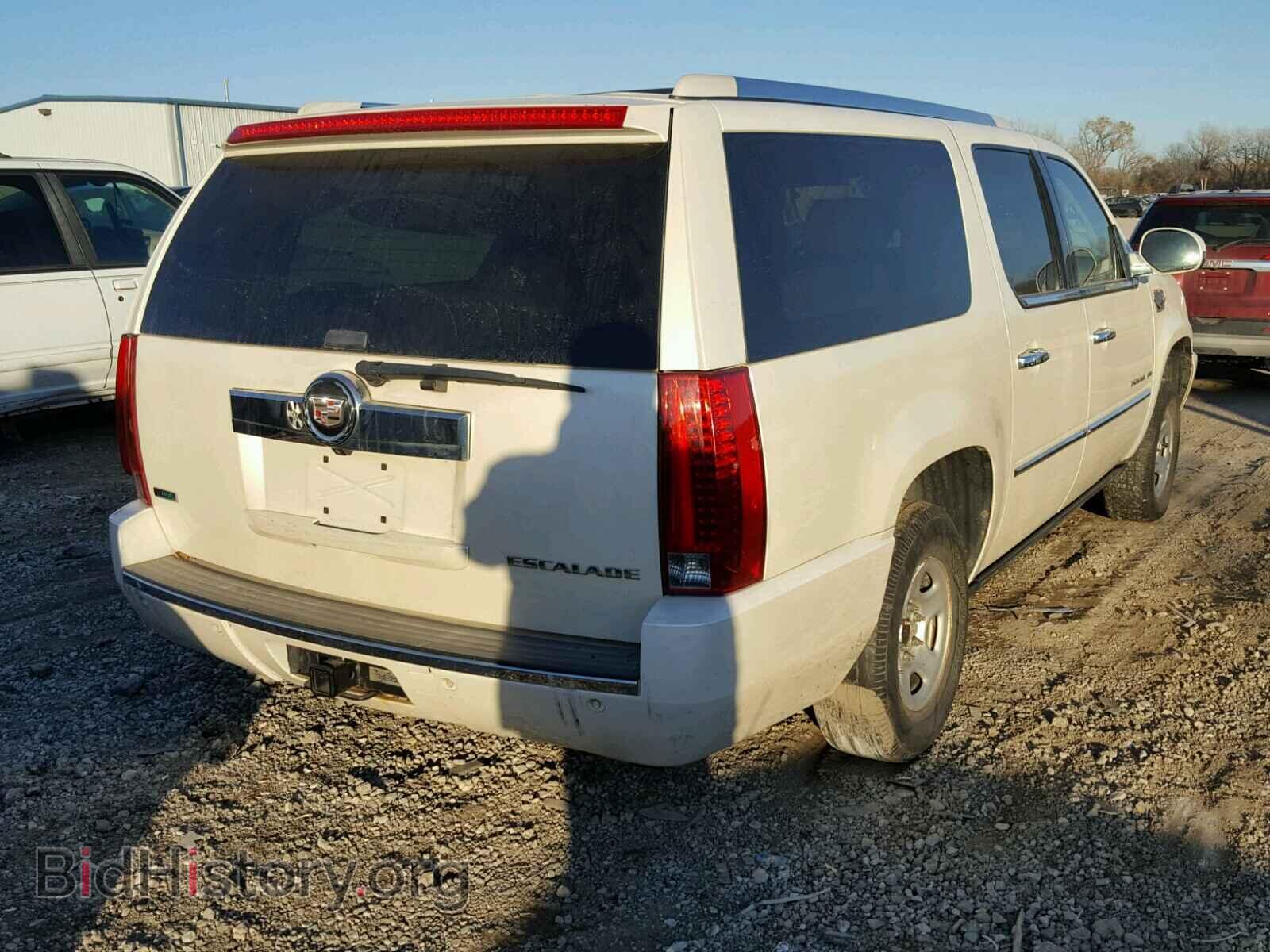 2010 CADILLAC ESCALADE E - VIN: 1GYUKJEF3AR106920 - Фото 4