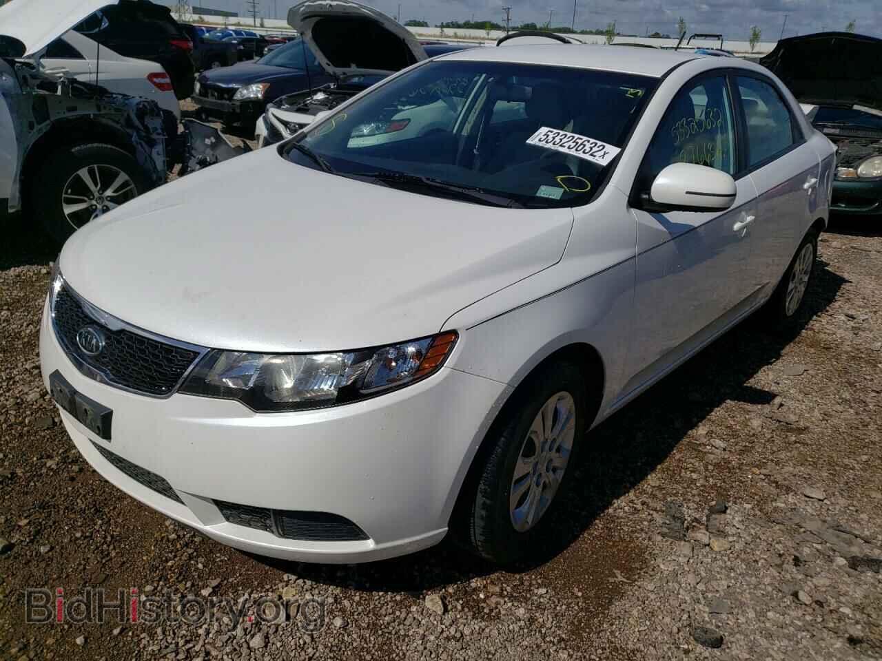 2013 KIA FORTE - VIN: KNAFU4A26D5702075 - Фото 2