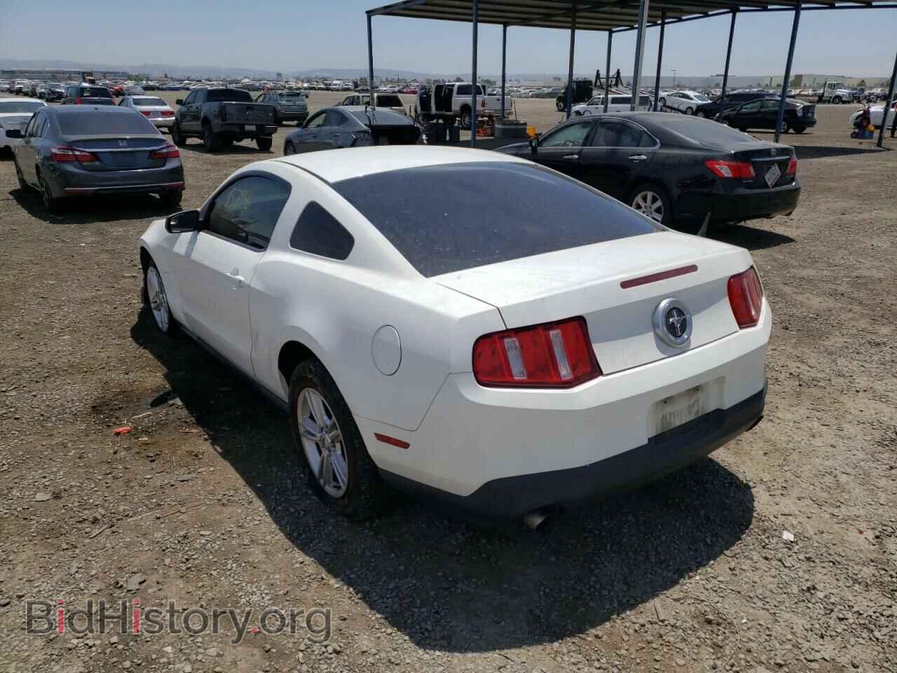 2012 FORD MUSTANG - VIN: 1ZVBP8AM1C5275997 - Фото 3