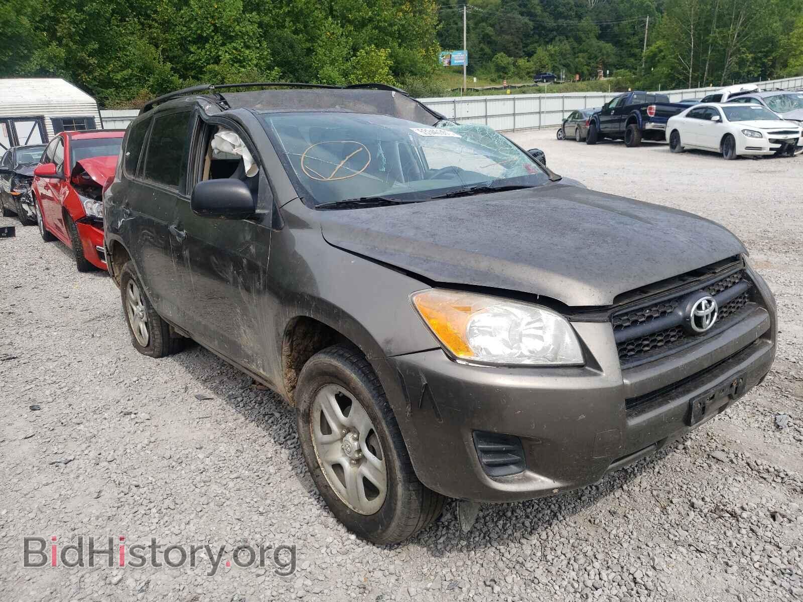 Фотография 2T3BF4DV8BW137500 - TOYOTA RAV4 2011