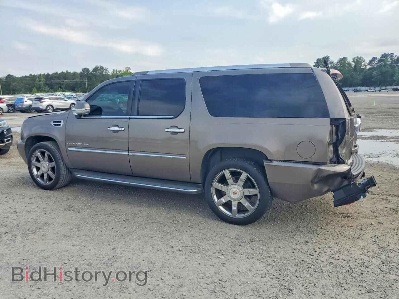2012 CADILLAC ESCALADE - VIN: 1GYS3HEF7CR314248 - Фото 2