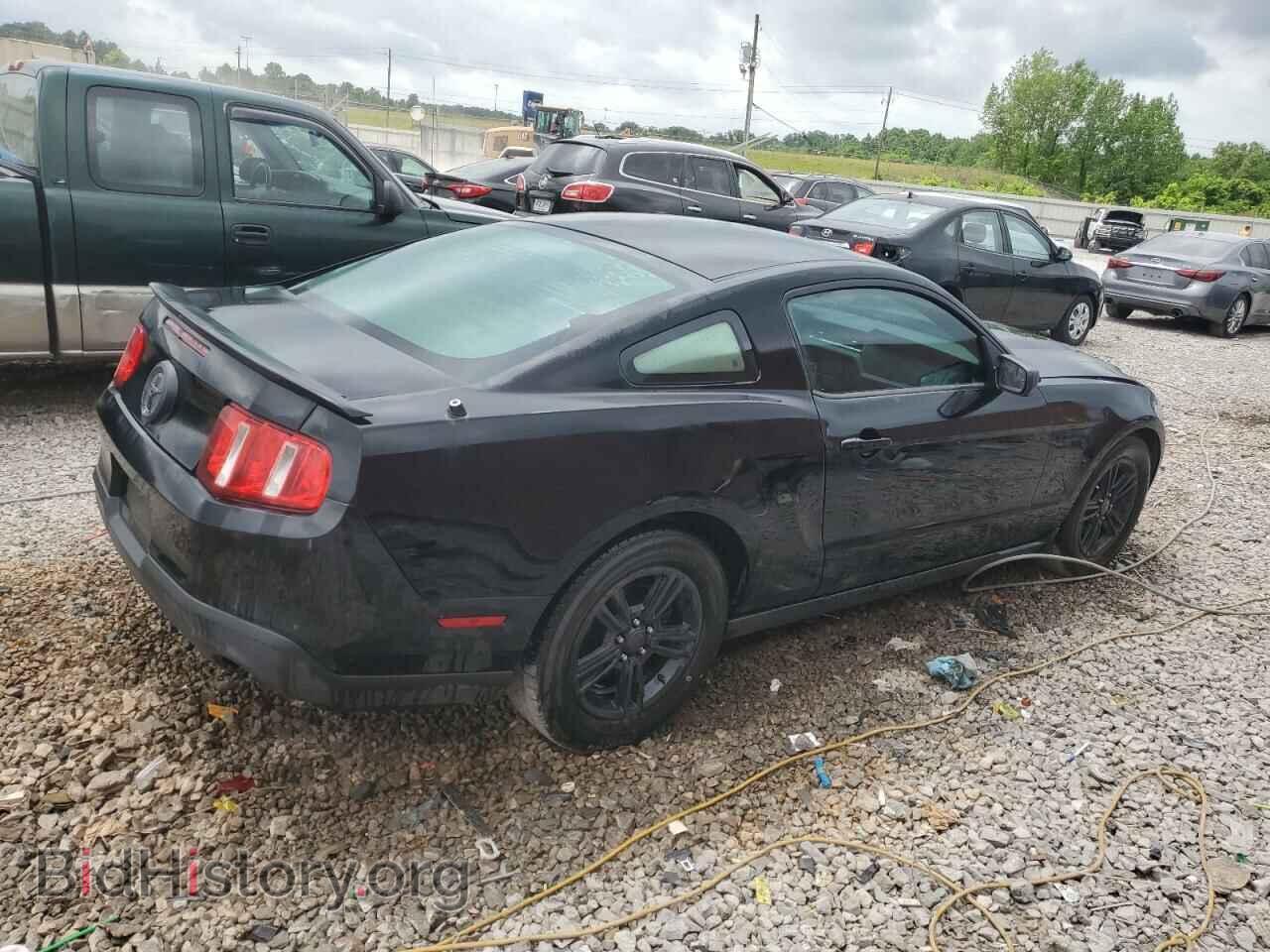 2012 FORD ALL Models - VIN: 1ZVBP8AM6C5249072 - Фото 3