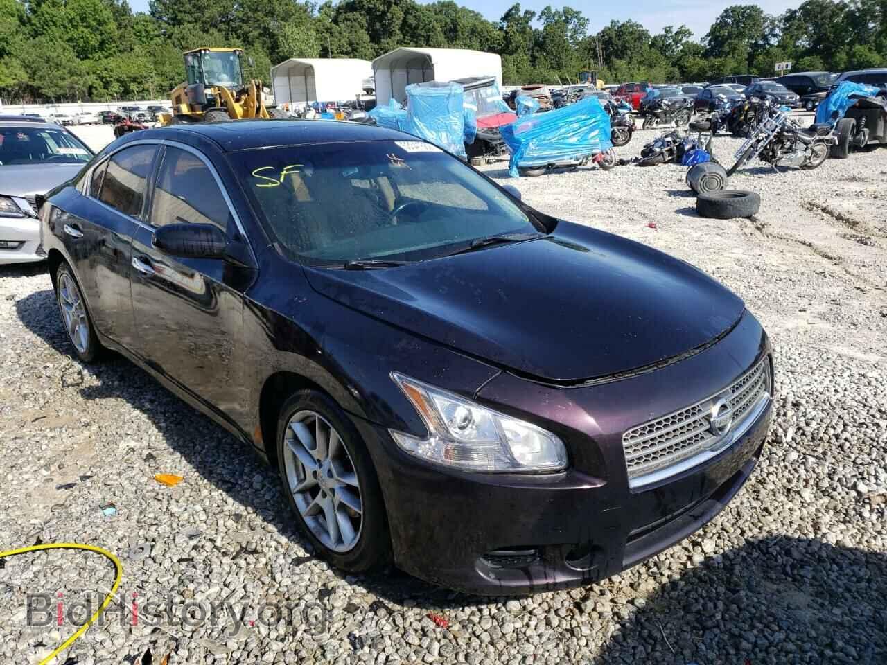 Фотография 1N4AA5AP1AC845360 - NISSAN MAXIMA 2010