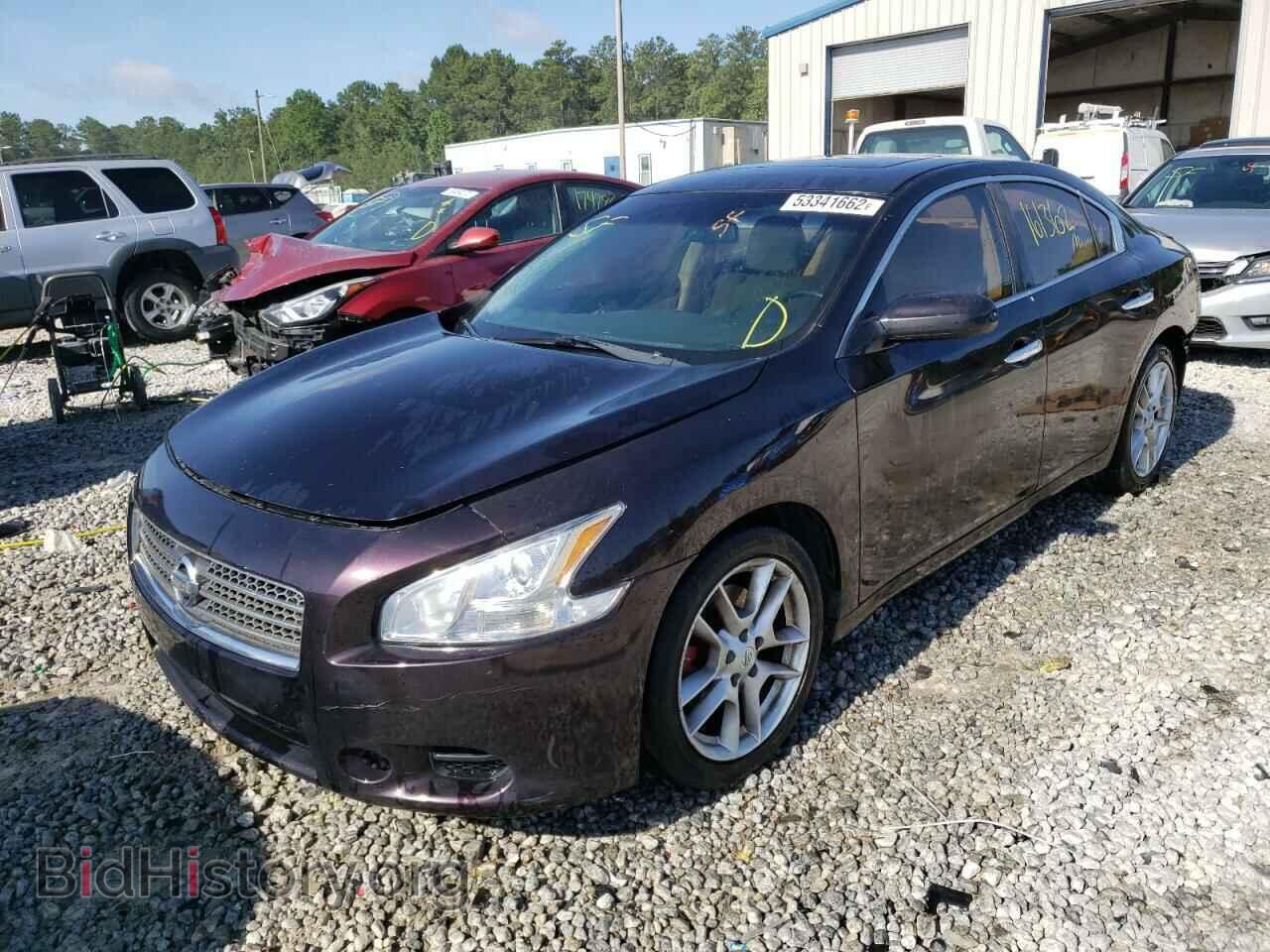 2010 NISSAN MAXIMA - VIN: 1N4AA5AP1AC845360 - Фото 2