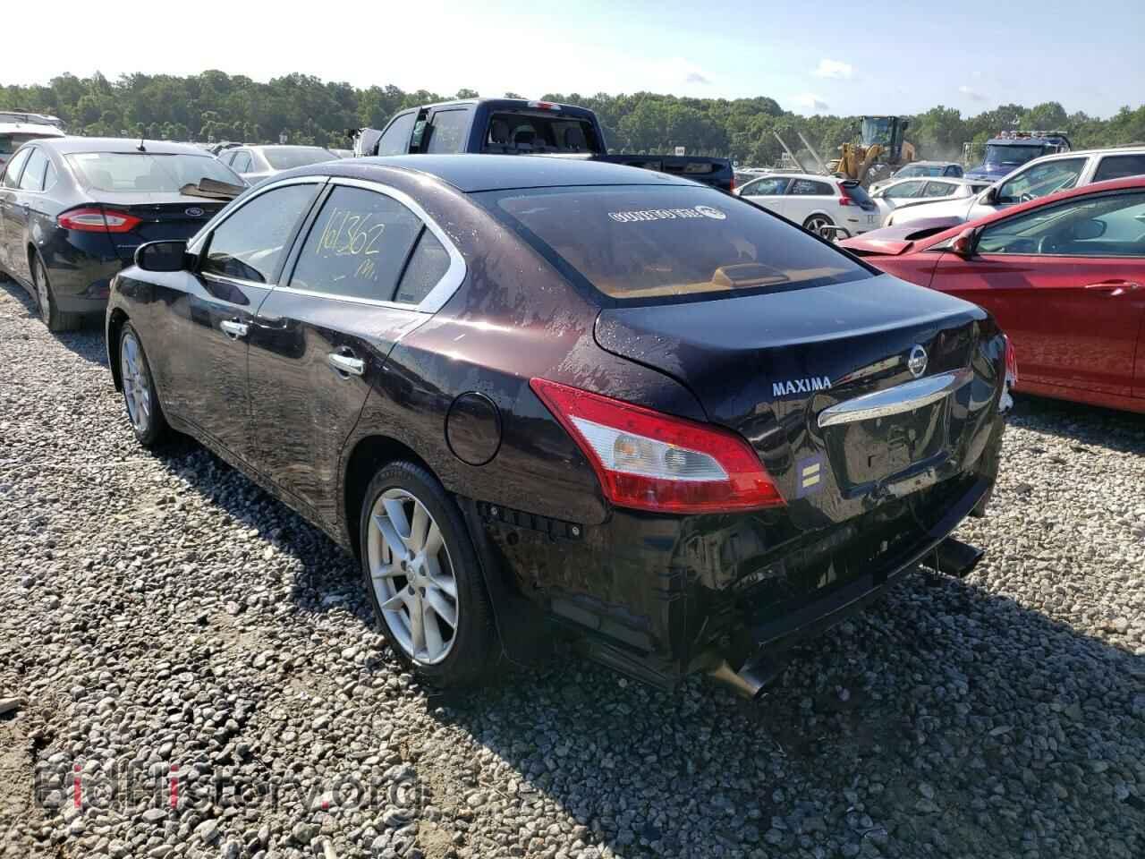 2010 NISSAN MAXIMA - VIN: 1N4AA5AP1AC845360 - Фото 3