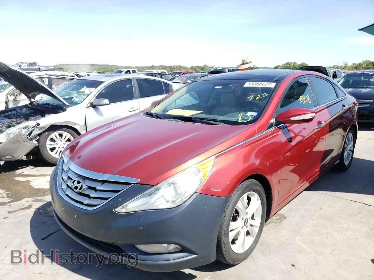2013 HYUNDAI SONATA - VIN: 5NPEC4AC7DH541665 - Фото 2