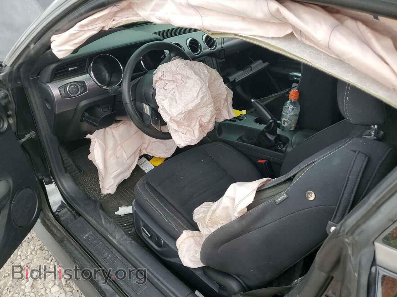 2017 FORD ALL Models - VIN: 1FA6P8TH5H5214993 - Photo 8