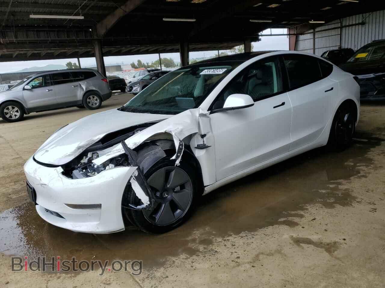 Photo 5YJ3E1EA2PF456681 - TESLA MODEL 3 2023