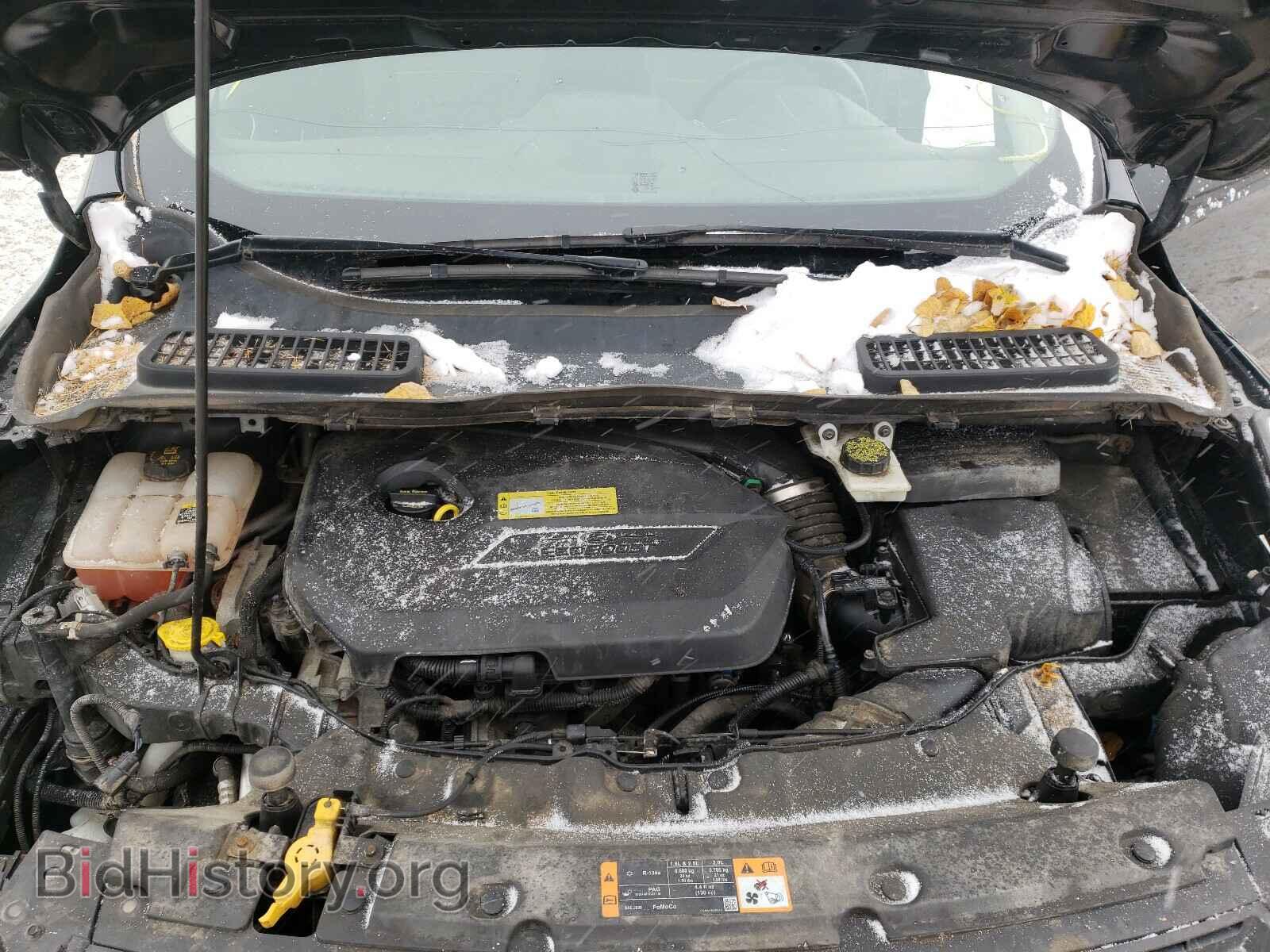 2013 FORD ESCAPE - VIN: 1FMCU0GX7DUC05362 - Фото 7