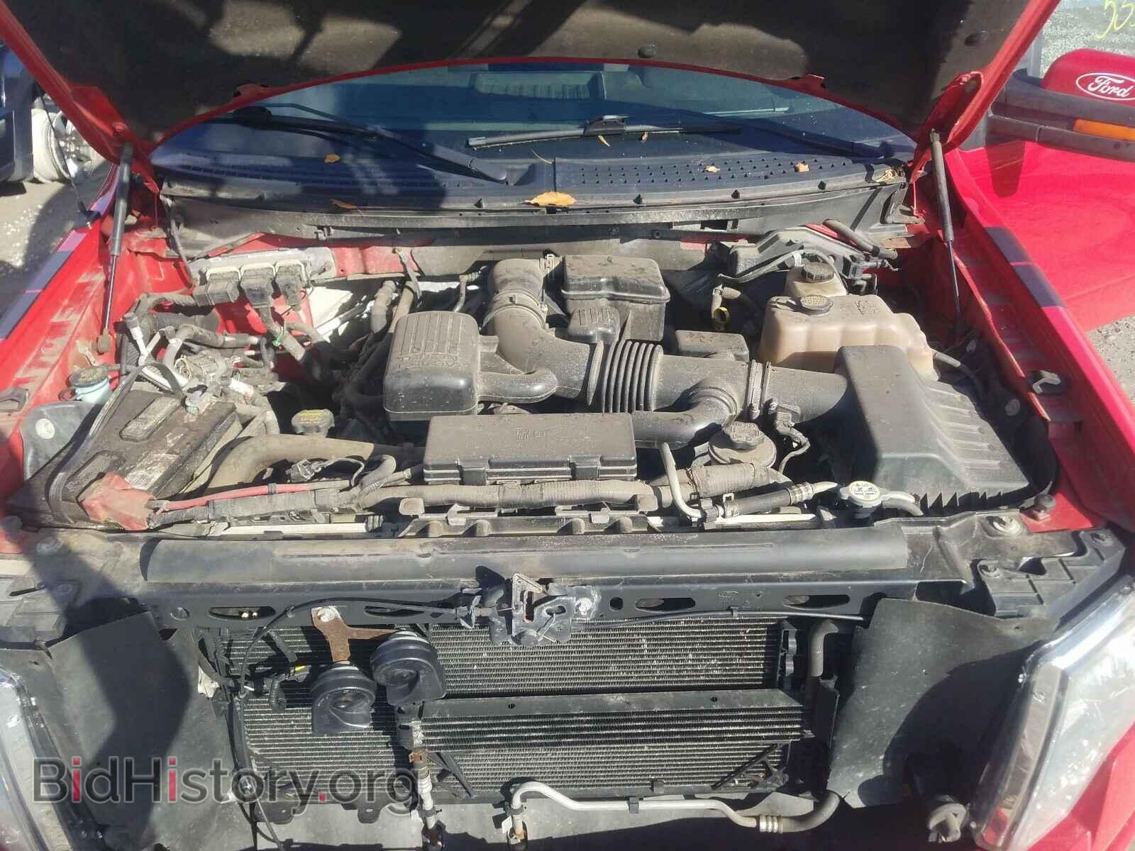 2010 FORD F150 - VIN: 1FTFX1EV1AFB76361 - Фото 7
