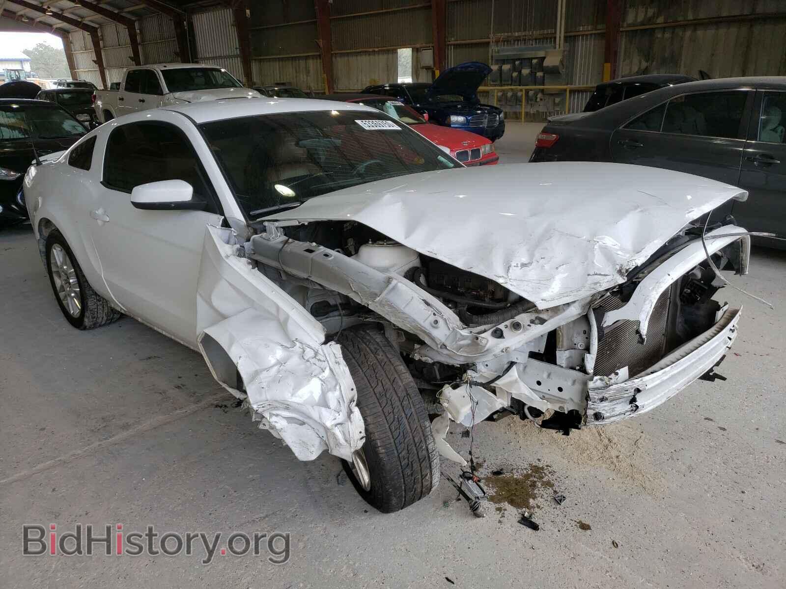 Photo 1ZVBP8AM1E5233137 - FORD MUSTANG 2014