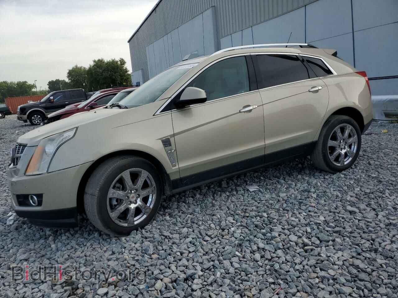 Фотография 3GYFNBE32CS518984 - CADILLAC SRX 2012