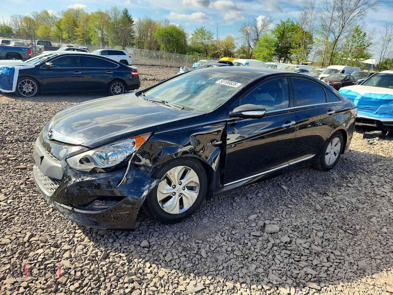 Фотография KMHEC4A40DA064721 - HYUNDAI SONATA 2013