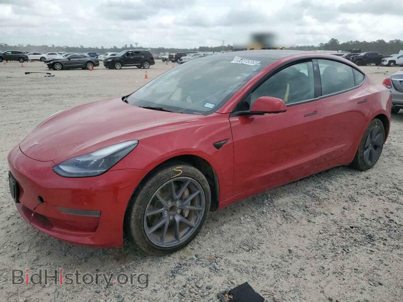 Фотография 5YJ3E1EA5PF567113 - TESLA MODEL 3 2023