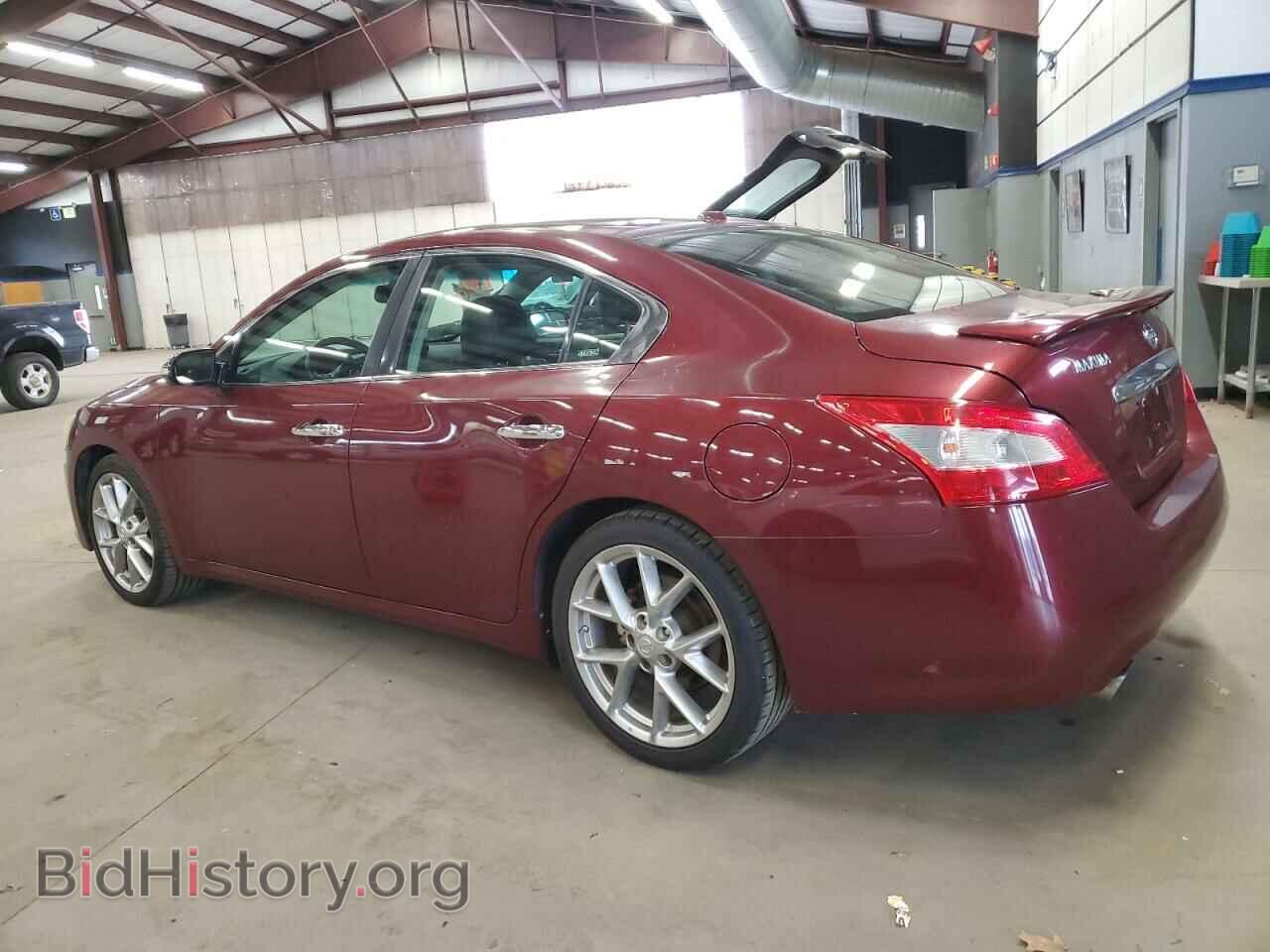 2010 NISSAN MAXIMA - VIN: 1N4AA5AP7AC837084 - Фото 2