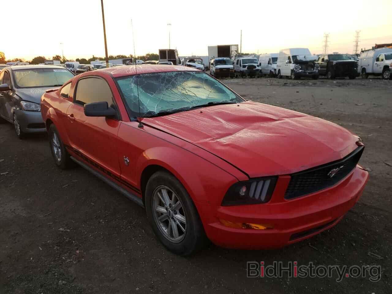 Photo 1ZVHT80N895122106 - FORD MUSTANG 2009