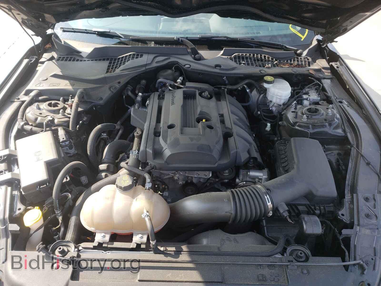 2019 FORD MUSTANG - VIN: 1FA6P8THXK5168228 - Фото 7