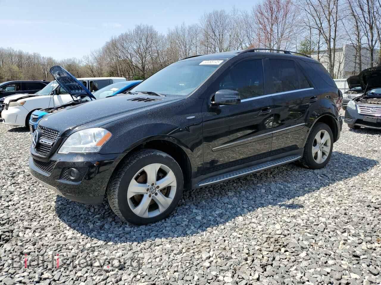 Photo 4JGBB2FB1BA743895 - MERCEDES-BENZ M-CLASS 2011