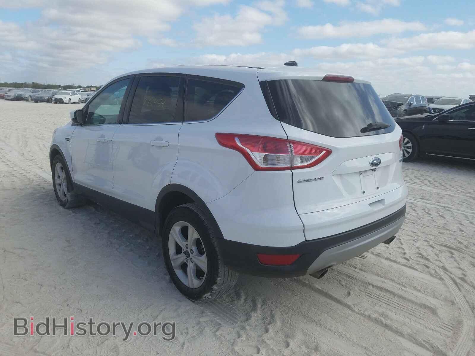 2014 FORD ESCAPE - VIN: 1FMCU0GX2EUE28202 - Фото 3
