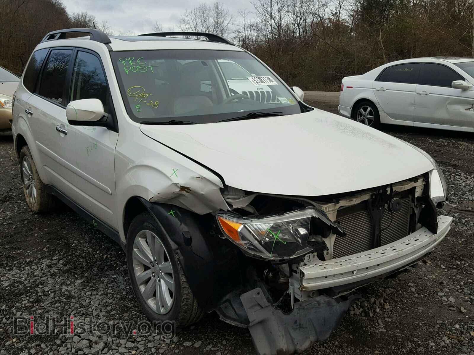 Photo JF2SHAEC2BH775769 - SUBARU FORESTER 2011