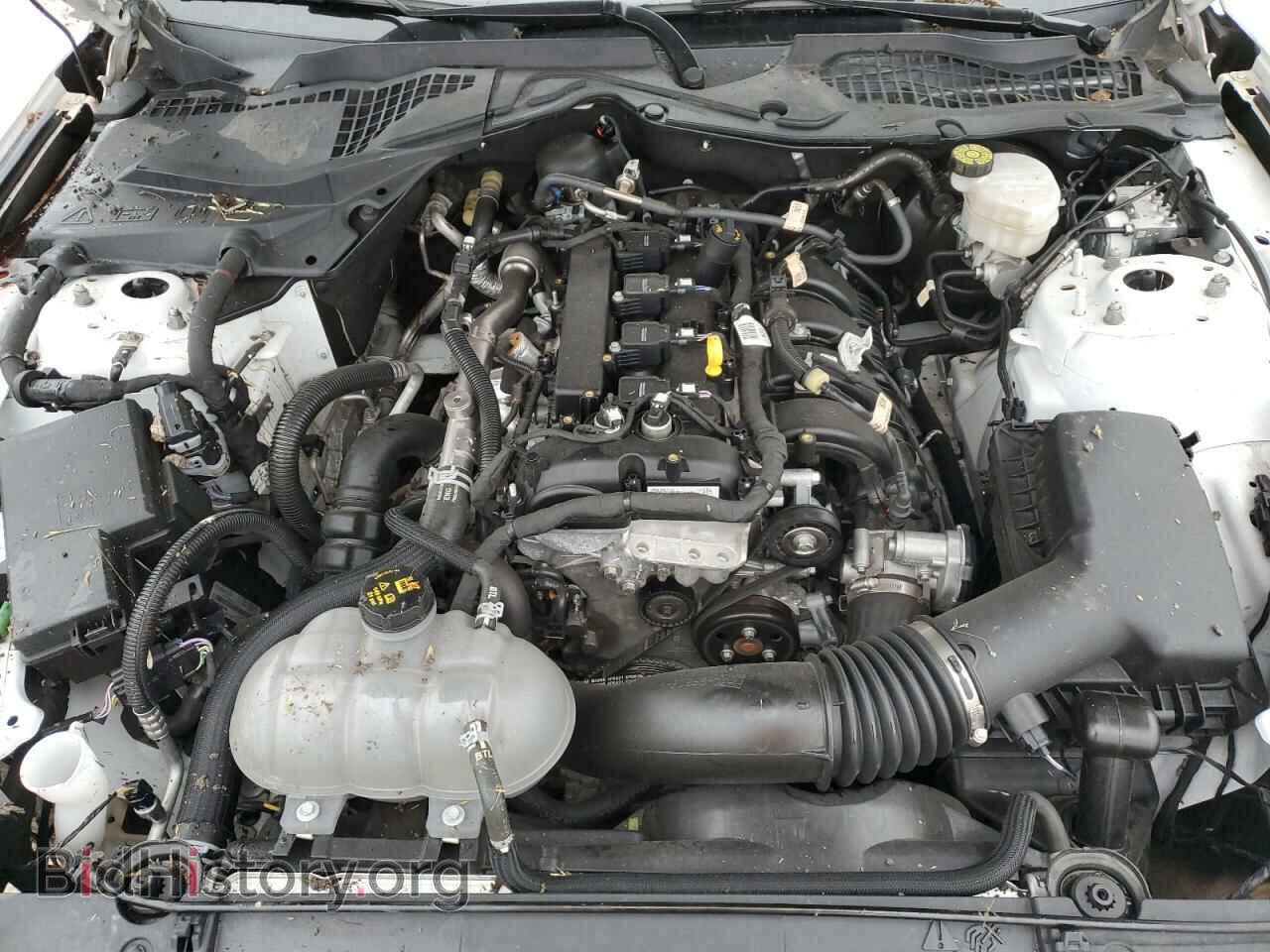 2022 FORD ALL Models - VIN: 1FA6P8TH3N5104567 - Photo 11